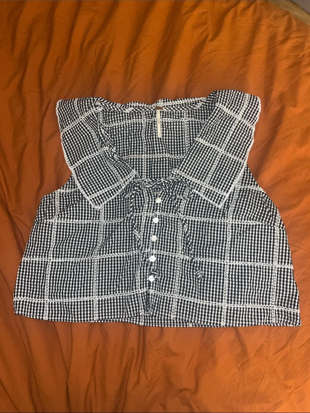 Free People Blue and White Gingham Button Front Cropped Top with Collar
